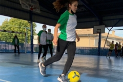 torneos