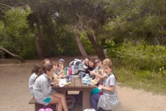 English_School_los_olivos_albufera_Y6_26-1