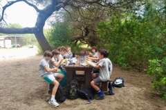 English_School_los_olivos_albufera_Y6_26-5