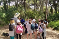 English_School_los_olivos_albufera_Y6_26-7