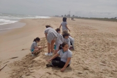 English_School_los_olivos_albufera_Y6_26-9