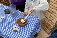 Alqueria-del-Machistre-Los-Olivos