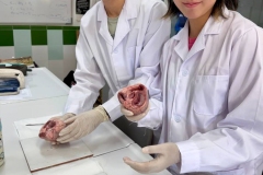 Practicas-de-biologia