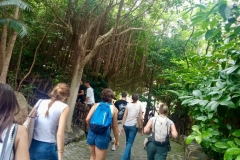 English_School_los_olivos_bioparc_Y12-10