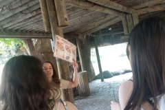 English_School_los_olivos_bioparc_Y12-12