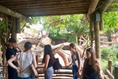 English_School_los_olivos_bioparc_Y12-14