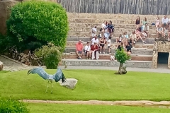 English_School_los_olivos_bioparc_Y12-19