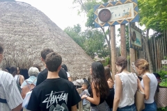 English_School_los_olivos_bioparc_Y12-2