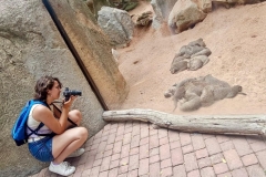 English_School_los_olivos_bioparc_Y12-26