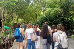 English_School_los_olivos_bioparc_Y12-3