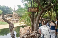English_School_los_olivos_bioparc_Y12-35