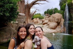English_School_los_olivos_bioparc_Y12-38
