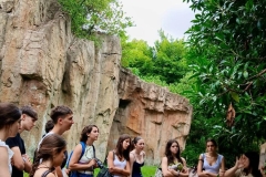 English_School_los_olivos_bioparc_Y12-39