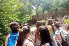English_School_los_olivos_bioparc_Y12-7