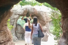 English_School_los_olivos_bioparc_Y12-9