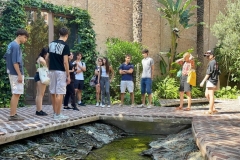 English_School_los_olivos_Bombas_Gens_Y12-19