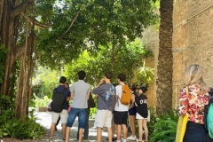 English_School_los_olivos_Bombas_Gens_Y12-9