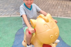 English_School_los_olivos_CANALETA_Y3-5