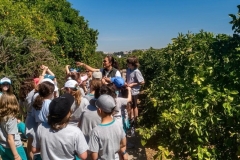 WhatsApp-Image-2026-04-17-at-14.51.41