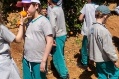 WhatsApp-Image-2026-04-17-at-14.51.42-1