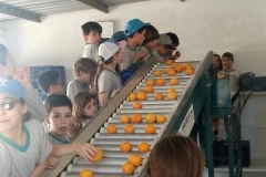 WhatsApp-Image-2026-04-17-at-14.51.42-4