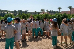 WhatsApp-Image-2026-04-17-at-14.51.42-5