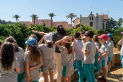 WhatsApp-Image-2026-04-17-at-14.51.42-6