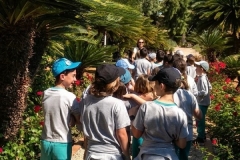 WhatsApp-Image-2026-04-17-at-14.51.43