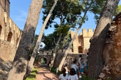 y2-Los-olivos-Benissano