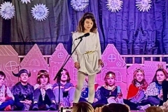 Christmas Shows in Primary-1