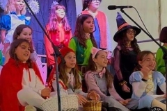 Christmas Shows in Primary-5