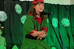 Christmas Shows in Primary-1