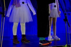 Christmas Shows in Primary-2