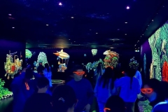 Trip-to-Colonia_Los-Olivos