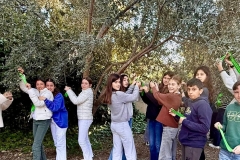 English-School-Los-Olivos-Valencia