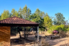 English_School_los_olivos_Estivella_2026-11