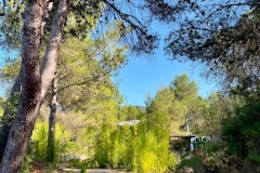 English_School_los_olivos_Estivella_2026-19