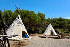 English_School_los_olivos_Estivella_2026-30