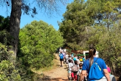 English_School_los_olivos_Estivella_2026-31