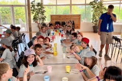 English_School_los_olivos_Estivella_2026-9