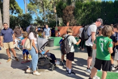 English_School_los_olivos_Feria_2026-28