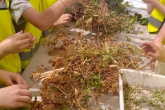 WhatsApp-Image-2026-04-21-at-14.32.29-2