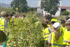 WhatsApp-Image-2026-04-21-at-14.32.30-1