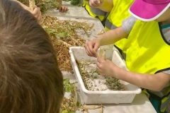 WhatsApp-Image-2026-04-21-at-14.32.30-2