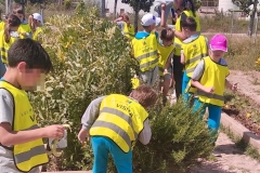 WhatsApp-Image-2026-04-21-at-14.32.30