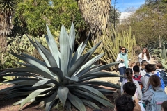 Y1-Jardin-Botanico