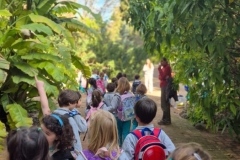 Y1-Valencia-Botanical-Garden