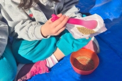 Year-1-Valencia-Botanical-Garden