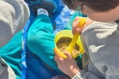 Year-1-visit-the-Valencia-Botanical-Garden