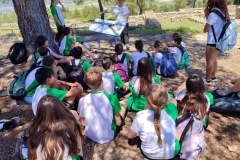 English_School_los_olivos_Bastida_Alcusses-1